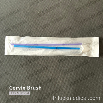 Brosse cervicale Stérile Cytobrush Pap